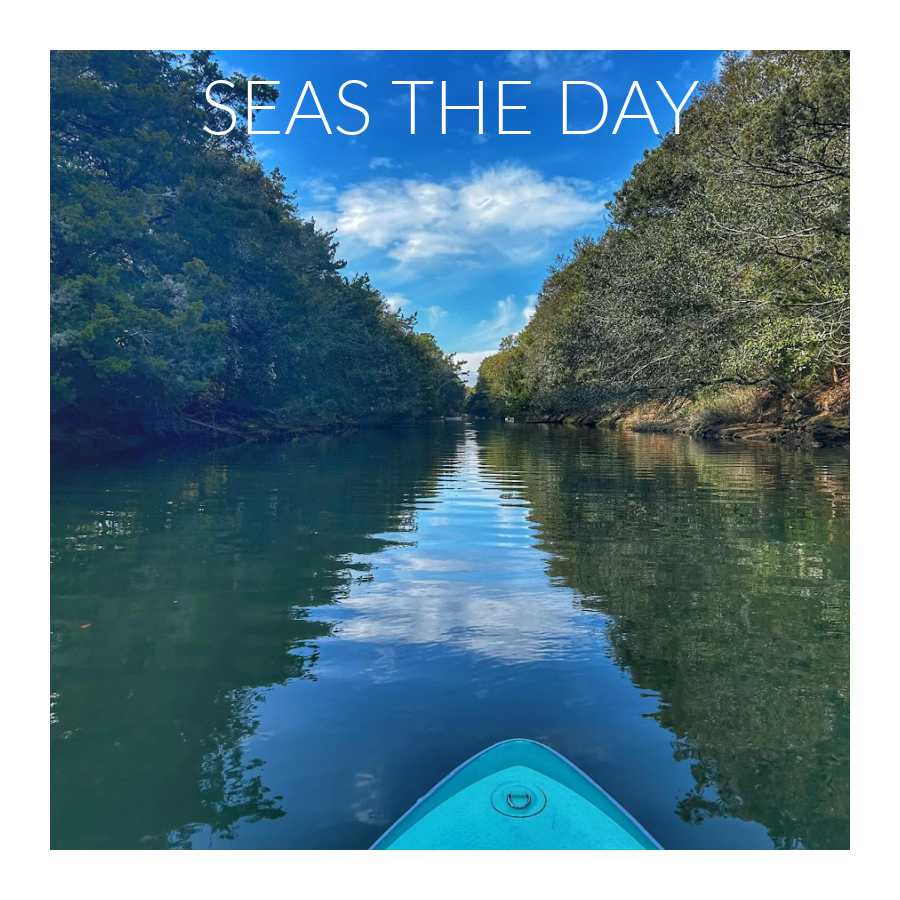 seas-the-day.png